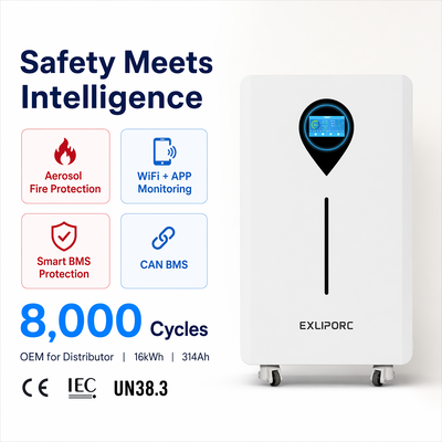 Quality 16kWh 51.2V 314Ah LiFePO4 Solar Battery with EV Blade Cells and 8000 Cycles for Home Energy Storage factory